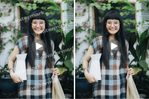 Video watermark remover