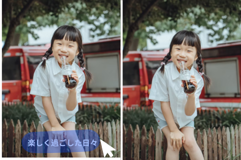 Video watermark remover